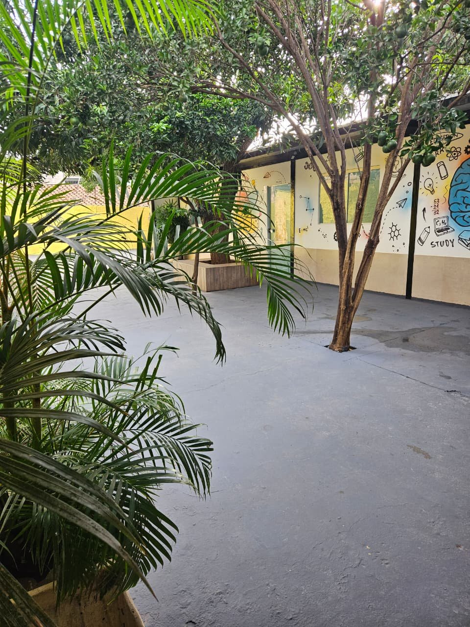 Pátio Arborizado e Área Verde